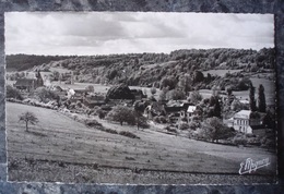 (89). DIXMONT.VUE GENERALE.PHOTO VERITABLE ANNEES 50. - Dixmont