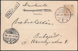 1901 Szept. 07. Hajoposta Levelez?lap Osztrak 3 Heller Bermentesitessel 'FIUME' - 'BUDAPEST' Portozas Nelkuel Elfogadva  - Otros & Sin Clasificación