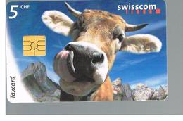 SVIZZERA (SWITZERLAND) - 1998    COW- USED - RIF. 10057 - Vacas