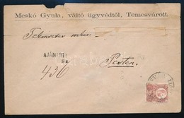 1873 Ajanlott Level 5kr + 10kr Bermentesitessel 'TEMESVAR / AJANLOTT' (javitott, Cimzett Kivagva) - Autres & Non Classés