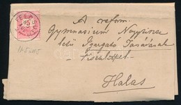 1880 Szinesszamu 5kr Levelen 'FELCSUTH' - Other & Unclassified