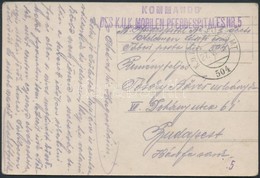 1916 Tabori Postai Fotolap 'KOMMANDO DES K.U.K. MOBILEN PFERDESPITALES NR.5' Es 'FP 504' - Andere & Zonder Classificatie
