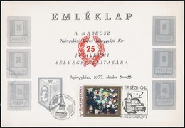 1977 Nyiregyhaza Helyi Kiadasu Belyegeket Abrazolo Kiallitasi Emleklap - Other & Unclassified