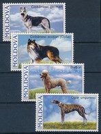 ** 2006 Kutyak Sor Mi 565-568 - Other & Unclassified