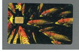 DANIMARCA (DENMARK)  - 1997 FISHES    - USED ° - RIF. 10059 - Peces