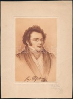 Robert Aust (?-?): Franz Schubert. Rezkarc, Papir, Jelzett, 16*11 Cm - Sonstige & Ohne Zuordnung