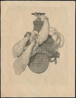 Franz Von Bayros (1866-1924): Oelelesben, Erotikus Ex Libris. Heliogravuer, Papir, Jelzes Nelkuel, 13*10 Cm - Other & Unclassified