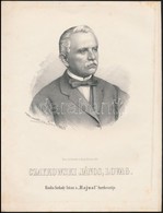 Cca 1867 Marastoni Jozsef: Johann Czaykowski Lovag Portreja, Litografia, Papir, 27*21 Cm - Stampe & Incisioni
