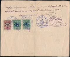 1924 Feluelnyomott Szeged Varosi Illetekbelyegek  + 2x10000K  Okmanyon - Non Classés