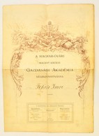 1903 A Magyarovari Gazdasagi Akademia Vegbizonyitvanya - Non Classificati