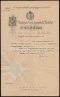 1917 Vazsonyi Vilmos (1868-1926) Igazsaguegy-miniszter Alairasa Uegyeszi Kinevezesi Papiron - Non Classificati