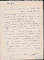 1979  Kosary Domokos (1913-2007) Toertenesz Sajat Kezzel Irt  Levele Vas Zoltan (1903-1983) Iro, 56-os Allamminiszter Re - Non Classés