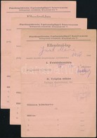 Cca 1945 A Partfogoiroda Egeszseguegyi Szervezete Ellen?rz? Lapja Deportalasbol Hazatertek Reszere, 3 Db, Egy Csalad Res - Otros & Sin Clasificación