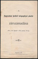 1907 A Nagyszebeni Kerueleti Betegsegelyez? Penztar Zarszamadasa. 8p. - Non Classificati