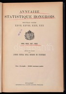 1925 Annuaire Statistique Hongrois. XXVII., XXVIII.,XXIX.,XXX. Evf. 1919,1920,1921,1922. Szerk. Es Kiadja M. Kir. Koezpo - Non Classificati