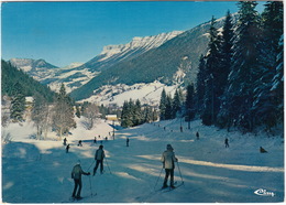 St-Pierre-d'Entremont - Le Planolet, La Piste Du Cucheron - Mont Granier - (Isère-Savoie) - Saint-Pierre-d'Entremont