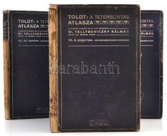 Toldt Karoly: A Tetembontas Atlasza II-IV. Koetet.  
II. Koet. A Szallagtan.
III. Koet. Az Izomtan.
IV. Koet. A Zsigerta - Sin Clasificación