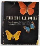 Fliegende Kleinodien. Ein Farbiges Falterbuch. Szerk.: J.E. Schuler. Stuttgart,1995, Schuler-Verlag. Nemet Nyelven. Kiad - Sin Clasificación