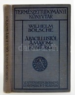 Wilhelm Boelsche: A Bacillustol A Majomemberig. Forditotta Dr. Pogany Jozsef. Termeszettudomanyi Koenyvtar. Bp, 1910, At - Non Classificati