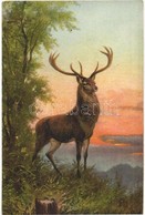** 4 Db REGI Allatos Motivumlap / 4 Pre-1945 Animal Motive Postcards - Zonder Classificatie