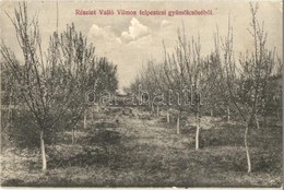 ** T2/T3 Fels?pestes, Pestisu Mic; Vallo Vilmos Felpestesi Gyuemoelcsoese / Orchard (EK) - Ohne Zuordnung