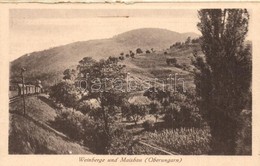 ** T1/T2 Valahol A Felvideken (Oberungarn), Weinberge Und Maizbau / Sz?l?hegy Es Kukoricafoeld, G?zmozdony / Vineyards,  - Non Classificati