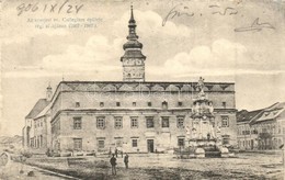 T3 Eperjes, Presov; Evangelikus Kollegium Regen, Szobor. Divald / Boarding School, Statue, Square (r) - Unclassified