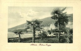 T2/T3 Abbazia, Palmen-Gruppe / Palmafak A Tengarparton. W. L. Bp. 1731. Acsay J. Kiadasa  / Palm Trees On The Beach (kis - Non Classificati