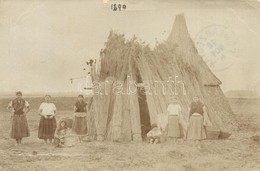 * 1899 F?herceglak, Knezevo; Ciganyok Csoportkepe, Folklor / Gypsy Folklore. Photo (b) - Ohne Zuordnung