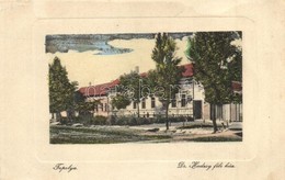 T2/T3 Topolya, Bacstopolya, Backa Topola; Dr. Hadzsy Janos-fele Haz, Letra. W. L. Bp. 3239. Riesz Bela Kiadasa / Mansion - Unclassified