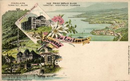 ** T2 Lac Leman, Grand Hotel De Caux, Grand Hotel Territet, Floral Litho - Unclassified