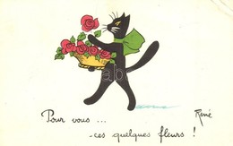 T2/T3 Cat With A Bouquet Of Flowers. French Art Postcard. S: Rene (EK) - Unclassified
