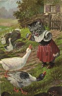 ** T3 Cat Feeding The Ducks. T. S. N. Serie 1830. (6 Dess.) S: Arthur Thiele (EB) - Ohne Zuordnung