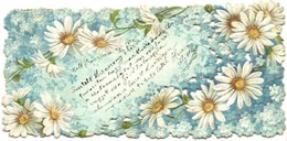 T2/T3 Floral Emb. Art Nouveau Litho Romantic Greeting Card (14 Cm X 6,5 Cm) (EK) - Non Classés