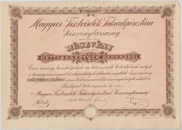 Budapest 1910. 'Magyar Tisztvisel?k Takarekpenztara Reszvenytarsasag' Bemutatora Szolo Reszvenye 250K-rol (2x) Sorszamko - Unclassified