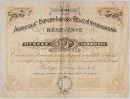 Budapest 1920. 'Agricola Export-Import Reszvenytarsasag' Reszvenye 500K-rol, Szarazpecsettel, Szelvenyekkel T:III- - Ohne Zuordnung