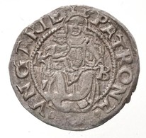 1553K-B Denar Ag 'I. Ferdinand' (0,59g) T:1-,2
Hungary 1553K-B Denar Ag 'Ferdinand I' (0,59g) C:AU,XF
Huszar: 935., Unge - Non Classificati