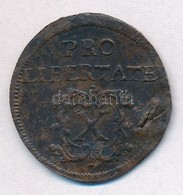 1706C-M X Poltura Cu 'II. Rakoczi Ferenc' Kassa (6,44g) T:3 Lyuk
Hungary 1706C-M X Poltura Cu 'Francis II Rakoczi' Kasch - Ohne Zuordnung