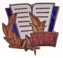 Romania DN 'SRSC' Zomancozott Fem Jelveny (15x17mm) T:2
Romania ND 'SRSC' Enamelled Metal Badge (15x17mm) C:XF - Unclassified