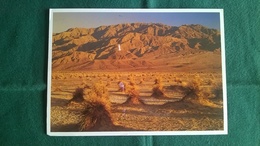 Etats-Unis - Californie - Vallée De La Mort - Death Valley