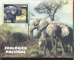 J) 2008 CUBA-CARIBE, IMPERFORATED, WITH SIMULATED PERFORATION, NATIONAL ZOOL, ELEPHANTS, AFRICAN LOXODONTA, SOUVENIR - Storia Postale