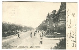 Liverpool Princes Avenue & Boulevard Streetlife By Hugo Lang Sent 1903 - Liverpool
