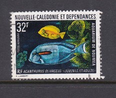 New Caledonia SG 522 1973 Marine Fauna,32 F Orange Spotted Surgeon Fish  ,used, - Used Stamps