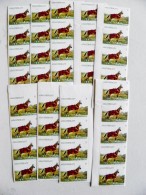 39 Post Stamps From Turkmenistan Animal Horse T - Turkmenistán