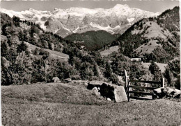 Seewis Im Prättigau - Seewis Im Prättigau