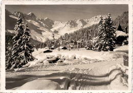 Arosa Von Valsana (1006) * 18. 3. 1934 - Vals