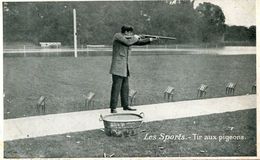 TIR AUX PIGEONS - Shooting (Weapons)