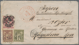 Br Argentinien: 1877, COMBINATION FRANKING ARGENTINIA-FRANCE TO JAPAN, Argentinia 8c. Carmine Paying Lo - Other & Unclassified