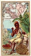 CHROMO CHOCOLAT RATIONNEL DES PHARMACIENS GUADELOUPE GUYANNE - Other