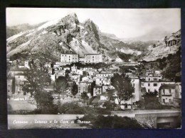 TOSCANA -MASSA CARRARA -CARRARA -F.G. LOTTO N°389 - Massa